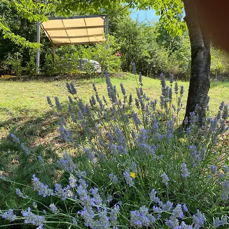 Casa Arancio - Fattoria La Speranza, Toscane Lejlighed